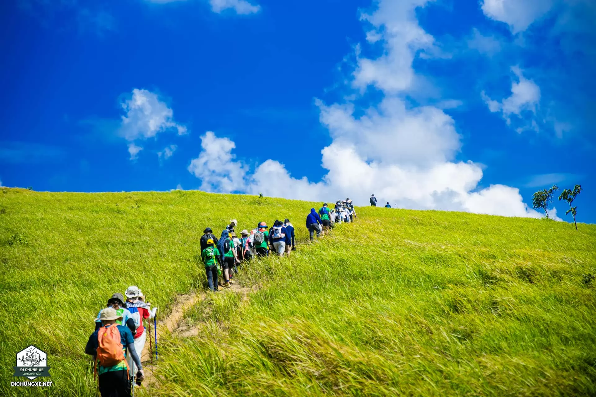 Thảo Nguyên Palsol (Đồi Cư Prông)